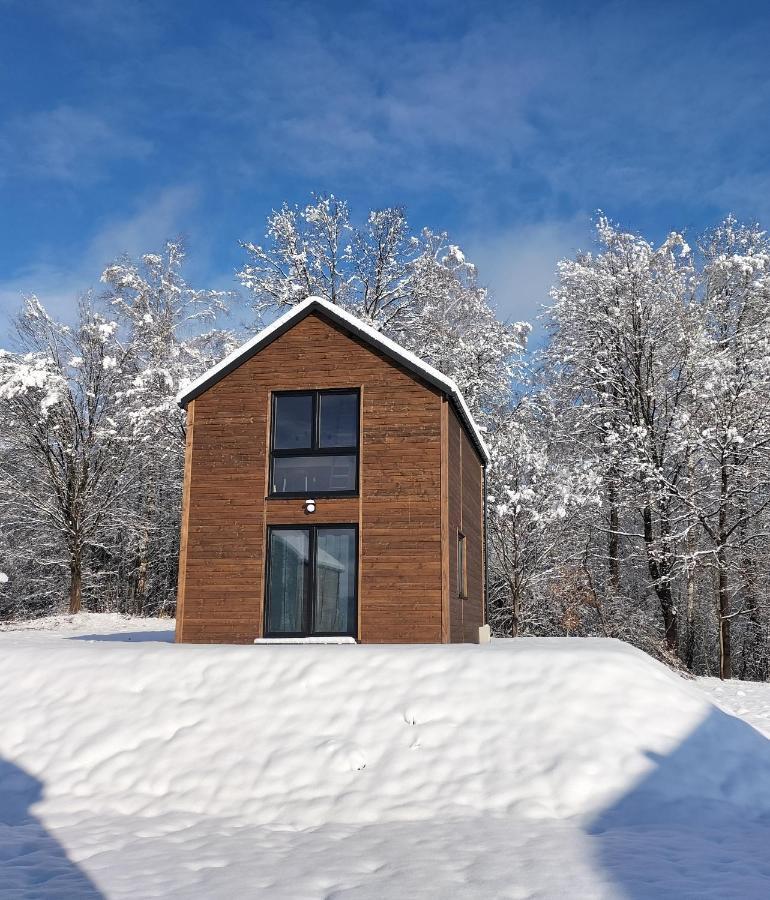 Dzikie Lisko - Apartament Z Tarasem Lesko Luaran gambar