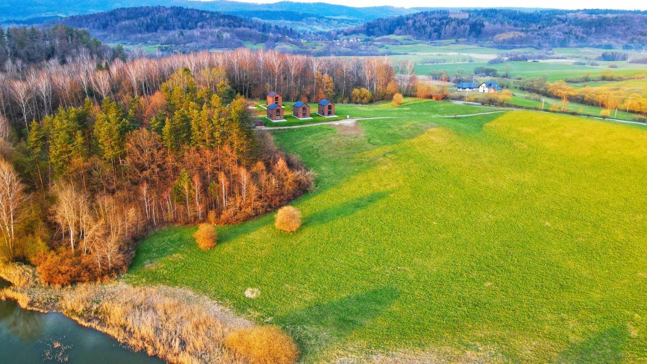 Dzikie Lisko - Apartament Z Tarasem Lesko Luaran gambar